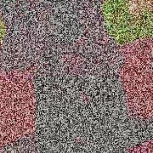 Meet your Posher, Deontie